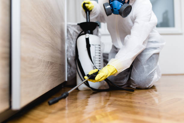 Best Best Pest Control Companies  in Stepping Stone, CO