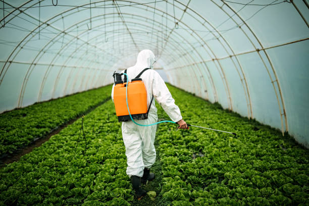 Reliable Stepping Stone, CO Pest Control Solutions
