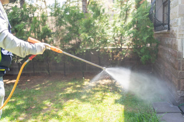 Best Pest Removal Services  in Stepping Stone, CO