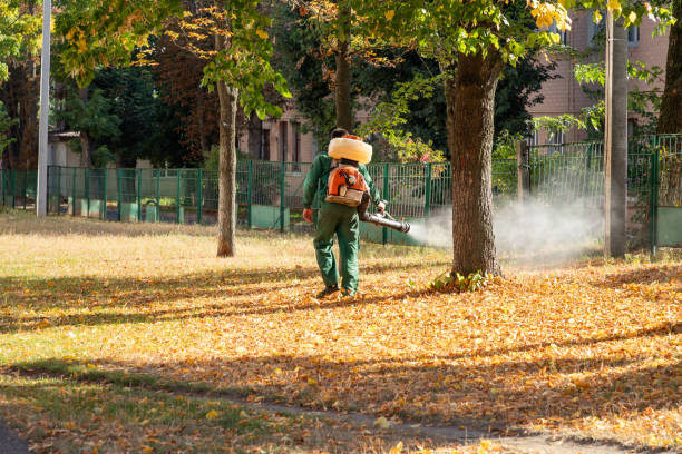 Pest Control Cost in Stepping Stone, CO